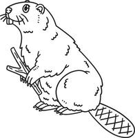Forest Animal Beaver Isolated Coloring Page vector