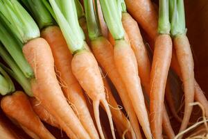 Fresh and sweet carrot on wooden table, Bunch of fresh carrots with green leaves over wooden background, Vegetable Food. photo