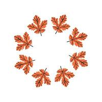 Autumn leaf wreath illustration with colorful orange leaves arranged in a circular frame on white background. vector