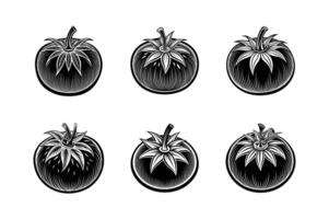 tomato icon silhouette Simple illustration set design vector