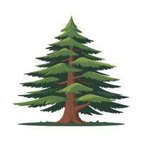 Natural Cedar Tree Artwork for Forest and Nature Themes vector