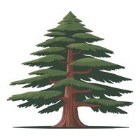 Tall Cedar Tree with Layered Green Branches and Textured Trunk vector