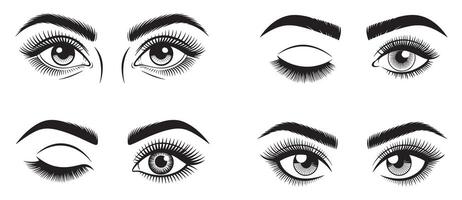 Black and White Silhouettes of Eyes with Various Expressions and Eyelashes vector