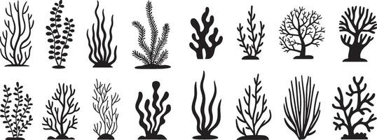 Black coral reef and seaweed silhouette set on white background vector