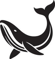 Majestic Whale A Guide to Whale Watching Locations vector
