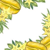 Whole and sliced starfruits, leaves square watercolor frame isolated background. Tropical fruits border with blank space for text. For food packaging, menus, fresh juice summer event invitation vector