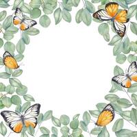 Watercolor square frame of eucalyptus branches with butterflies isolated background. Tropical greenery and insects illustration for wedding invitations, birthday greeting cads, packaging vector
