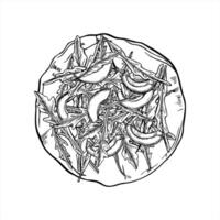 Monochrome tortilla or pizza with arugula and avocado slices graphic sketch illustration. Flatbread with herbs and vegetables etching drawing. For healthy food packaging, menu, poster vector