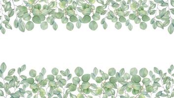 Watercolor eucalyptus branches horizontal border isolated background. Green leaves frame with blank space for text. Foliage illustration for beauty product design, wedding invitation, home decor vector