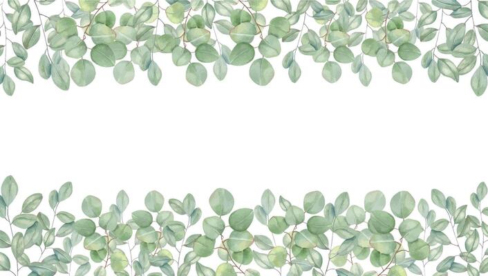 Watercolor eucalyptus branches horizontal border isolated background. Green leaves frame with blank space for text. Foliage illustration for beauty product design, wedding invitation, home decor