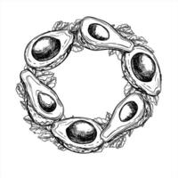 Avocado halves with seeds and parsley sprigs monochrome wreath line ink illustration in black and white. Etching drawing of salad leaves with vegetable round frame with empty space for text vector