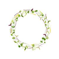 Different microgreens are arranged in a circle, creating a vibrant and natural frame on a clean white background, ideal for health, food, and wellness concepts vector