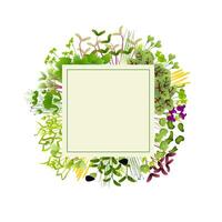 Microgreens in various colors and shapes arranged in a circle around a square frame create a vibrant design highlighting their nutritional benefits vector