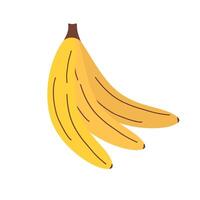 Minimalist banana illustration on white background. Clean outline design for packaging, labels, menus, and healthy food marketing. vector
