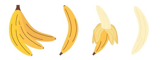 Minimalist banana illustrations showing whole fruit, peeled banana, and a bunch. Clean line art on white background. Versatile for packaging, labels, and food-related designs. vector