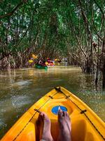 Kayaking Through the Mangrove Tunnels photo