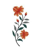 Little simple bouquet of flowers isolated on a white background vector