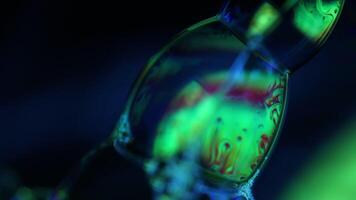Reflections of liquid in macro, green liquid surface, bubbles in macro, connection of bubbles in macro, cell from liquid, dark background, glossy surface video