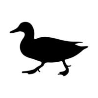 Duck silhouette walking side view vector
