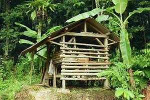 Bamboo goat pen in rural garden area of Tasikmalaya West Java photo