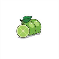 fresh and delicious green lime vector