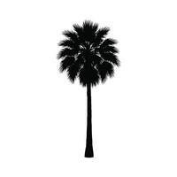Majestic Silhouette of a Palm Tree Standing Tall Against a White Background, Evoking Serenity and Tropical Vibes vector