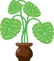 Houseplant with tropical foliage in a pot. Cartoon illustration. vector