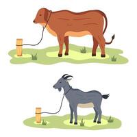 cows and goats tied up. Illustration of Eid al-Adha celebration. sacrificial animals vector