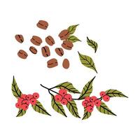 Coffee bean and plant illustration for design and decor vector