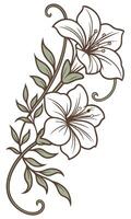the Verbascum flower arranged beautifully and decorated with vines vector