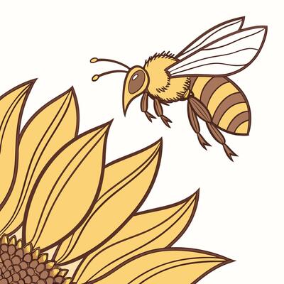 A bee flying near a sunflower, the bee has yellow and brown stripes