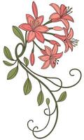 Close-up of the Kalanchoe flower arranged beautifully and decorated with vines vector