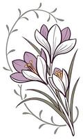 Close-up of the Crocus flower arranged beautifully and decorated with vines vector