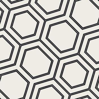 geometric pattern with hexagons in black and white, creating a modern and abstract design, suitable for backgrounds vector