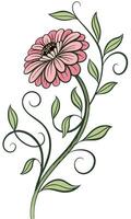 Close-up of the Sweet Zinnia flower arranged beautifully and decorated with vines vector