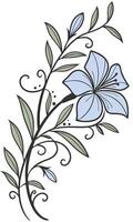 Close-up of the Periwinkle flower arranged beautifully and decorated with vines vector