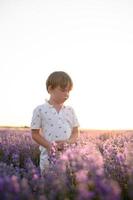 A violet field embraces a lone child, lost in the scent of summer. photo
