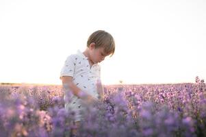 Sunlight spills across the field, catching the boys curious gaze. photo