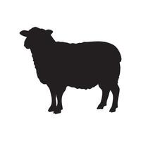 A black silhouette of a sheep standing on a white background silhouette isolated on white background vector