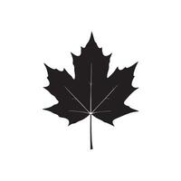 Elegant Maple Leaf in Black and White Silhouette vector