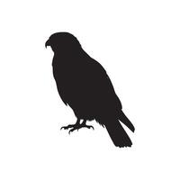 Detailed Silhouette of a Perched Hawk on White Background silhouette vector