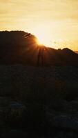 Silhouette Of Boom Operator Microphone Recording Sound In Nature video
