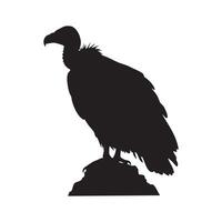 Vulture Perched on Rocks Black Silhouette Against White Background silhouette vector