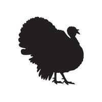 Black Turkey Silhouette on White Background for Thanksgiving or Farm Use vector