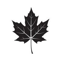 Isolated Maple Leaf Illustration in Black and White Silhouette vector