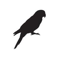 Parrot Perched Sideways Black Silhouette on White Background silhouette vector