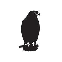 Majestic Hawk Perched on Branch Black Silhouette striking vector
