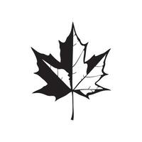 Stylized black and white maple leaf silhouette isolated on white background vector