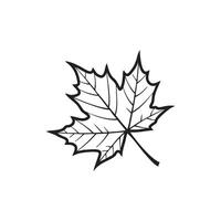 Black and white outline of a maple leaf with detailed veins isolated on white background silhouette vector