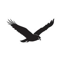 Black silhouette of a hawk in flight with wings spread wide isolated on white background silhouette vector